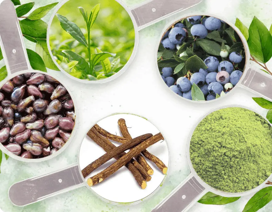 neuro surge ingredients